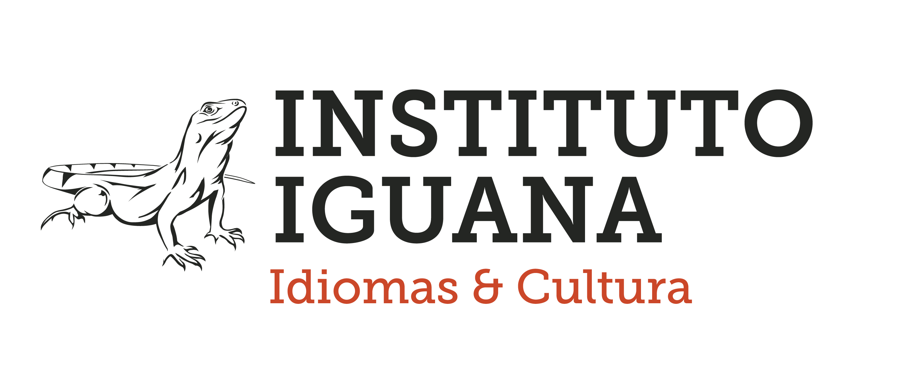 Instituto Iguana